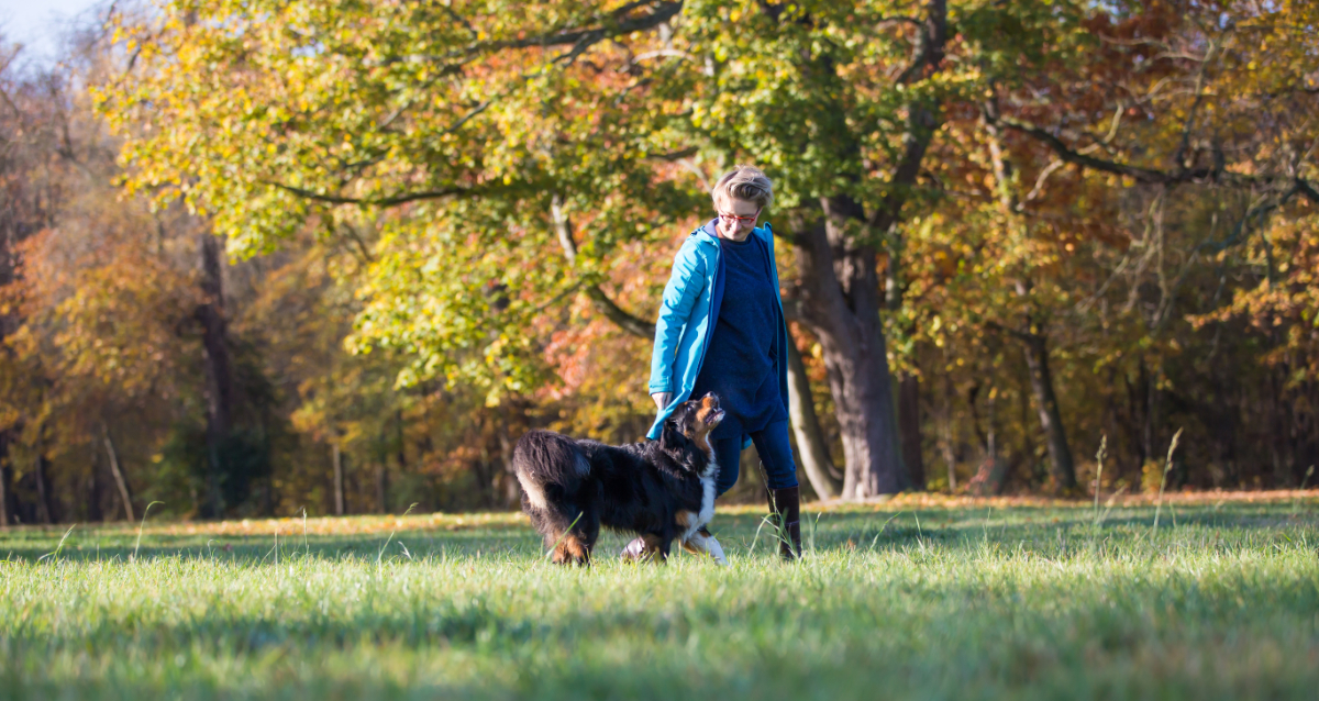 Hundetrainer Konzept 🐶 Hundetrainerin Dresden › hundetrainergajda.de
